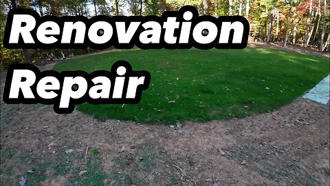 Repair Lawn Renovation With Grass Seed Do Not Procrastinate