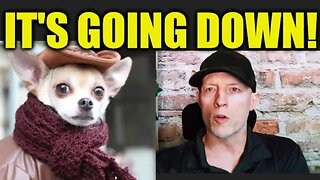 PEOPLE WILL BE SHOCKED, ECONOMIC COLLAPSE UPDATE, PETCO LAYOFFS, IT'S GOING DOWN