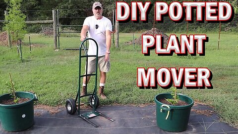 DIY Large Potted Plant Mover - Save A Ton Of Money