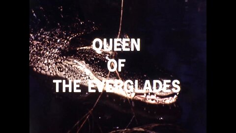Mutual of Omaha's Wild Kingdom - "Queen of the Everglades"