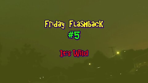 Friday Flashback #5