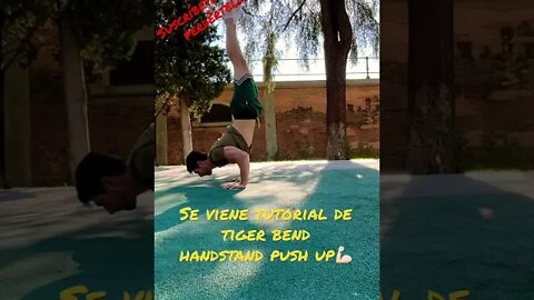 Se viene: Tiger bend handstand tutorial😍