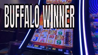 WINNING ✅ Las Vegas Casino Play - BUFFALO