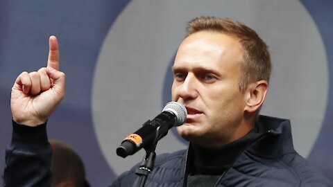 House Panel Requests Probe Into Alexei Navalny Poisoning