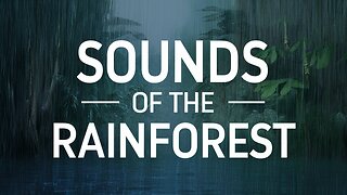 ASMR | unintentional ASMR - Sounds of the rainforest