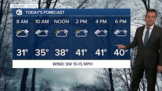 Metro Detroit Forecast: Mild January weather