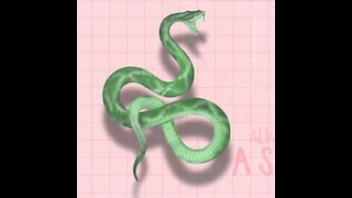 Snake Is Still A Snake [GMG Originals]