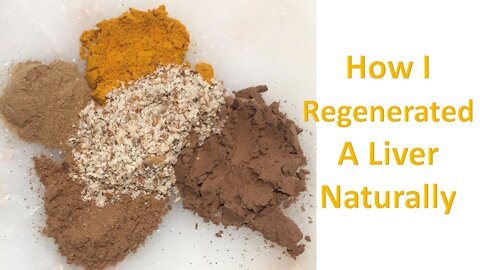 Natural Liver Regeneration: Part 2