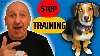 Stop Training Your Dog! instead do this.