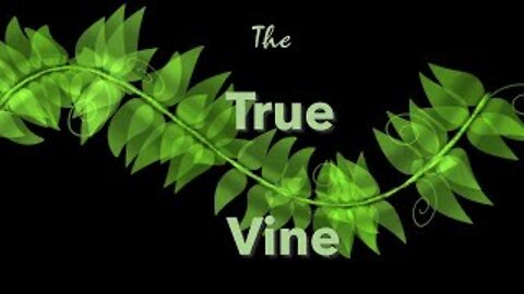 The True Vine: John 15