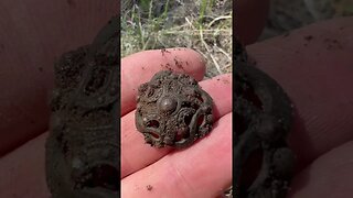 BEAUTIFUL OLD BUTTON found while METAL DETECTING in COLORADO #metaldetecting