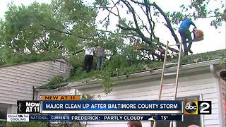 Downed tree damages 2 homes in Essex