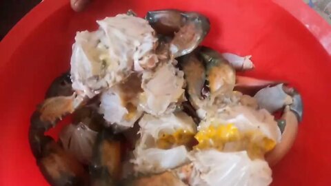 Crab Cooking Vlog Part 01( কাঁকড়া রান্না এই ব্লগে ফ্রাই এবং ভুনা দুটোই)