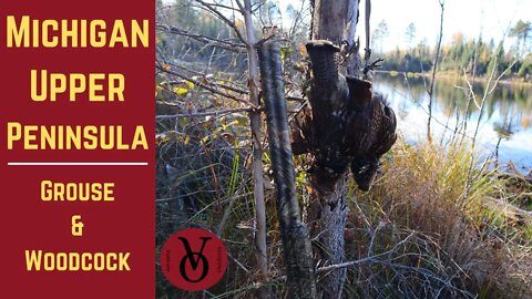 Michigan Upper Peninsula Grouse/Woodcock hunting