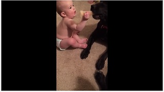 Baby learns to share toy with dog