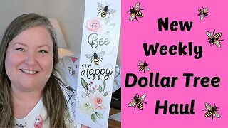 Dollar Tree Weekly Haul ~ What's New at Dollar Tree ~ Wow! Happy Planner Sticker Books ~ 06/15/21