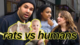 Rats vs Humans: Who Has More Value?