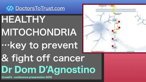 DOM D’AGNOSTINO 5 | HEALTHY MITOCHONDRIA…key to prevent & fight off cancer