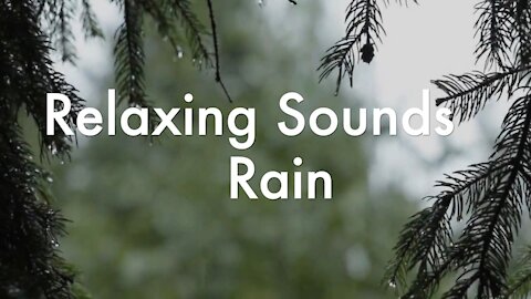 NICE BACKGROUND SOUND - RAIN & THUNDER sounds for relaxing sleep. Go to SLEEP IMMEDIATELY