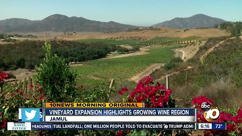 Vineyard expansion in Jamul highlights growing wine region east of San Diego