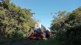 Morning Train video