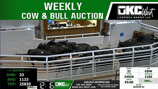 2/19/2023 - OKC West Weekly Cow & Bull Auction