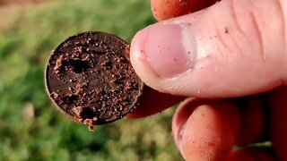 Treasure Hunting | Metal Detecting | Searching for Gold | Park Hunt