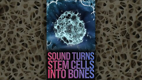 Sound Turns Stem Cells to Bones 🦴 #shorts