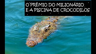 O Prêmio do Milionário e a Piscina de Crocodilos.