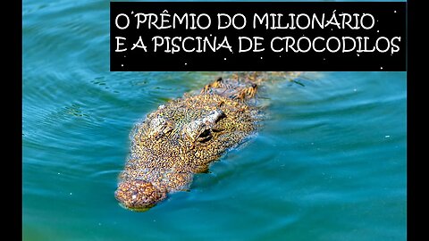 O Prêmio do Milionário e a Piscina de Crocodilos.