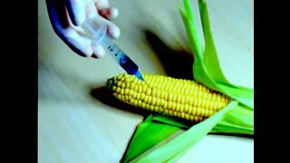 New GMO Crops Eat Your Guts from the Inside, Almost Everything You Consume is Genetically Modified