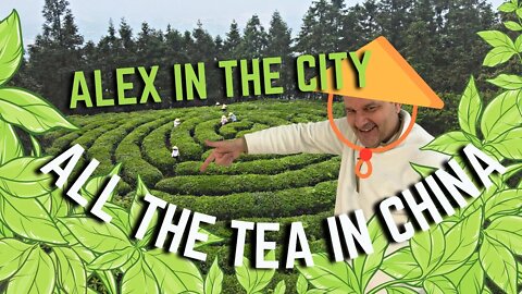 All The Tea In China | Alex In The City Ep 11
