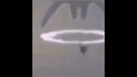 An Alien Craft opens a portal and lifts creatures into it.