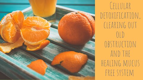 Cellular detoxification, clearing out old obstruction and the healing mucus free system