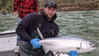 SPRING Salmon FISHING! Trolling, Anchor Fishing, RIGGING, & More!!
