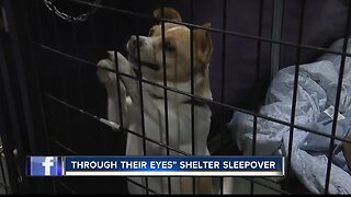 Meridian Canine Rescue holds "Through Their Eyes" fundraiser