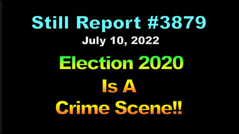 Election 2020 Is A Crime Scene, 3879