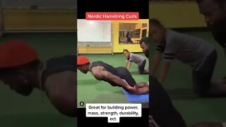 ADD SOME NORDIC HAMSTRING CURLS IN YOUR WEEKLY ROUTINE TODAY‼️