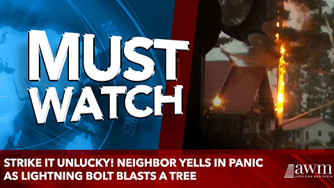Strike it unlucky! Neighbor yells in panic as lightning bolt blasts a tree