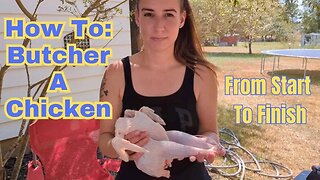 From Farm to Table: How To Butcher a Chicken