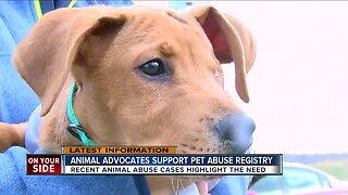 Animal advocates support pet abuse registry