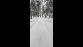 Anchorage Trail walk in winter