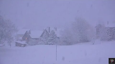 Blizzard Sounds & Howling wind | Winter Storm Sounds | Heavy Snowstorm