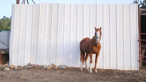 Discover Colorado’s horseback adventure west of Denver that began as a father, daughter love of the trails