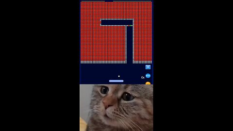 Cat funny video😂 #cat #game #bricks #breaker #christell #shortsfeed #shorts #viral #funny