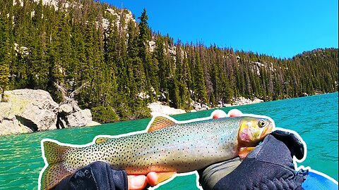 Catching Rare to Colorado Yellowstone Cutthroat Trout in Rocky Mountain National Park!