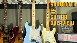 Sawtooth ES guitar unboxing