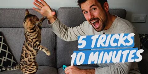 5 CAT TRICKS in 10 minutes Easy & Cool Clicker Training Tricks