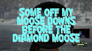 The hunt for a Diamond Moose #cotw #thehuntercallofthewild