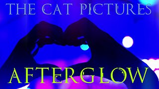 The Cat Pictures - Afterglow